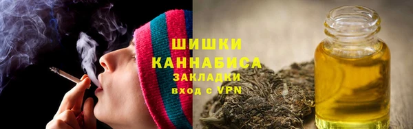 меф Ельня