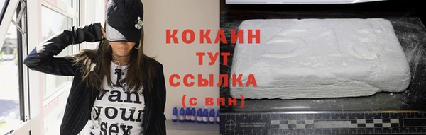 меф Ельня