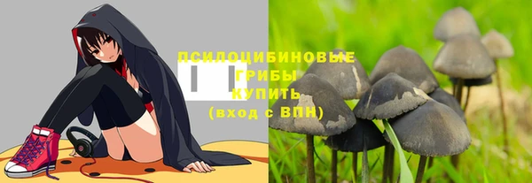 меф Ельня