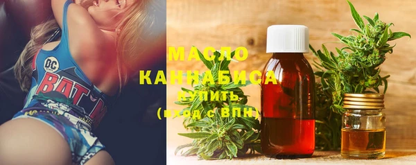 меф Ельня