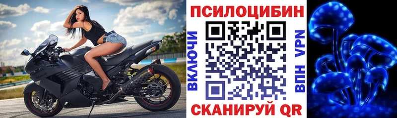 Псилоцибиновые грибы мухоморы  купить закладку  Инза 